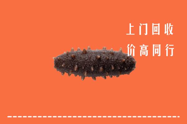 市北区回收海参