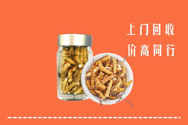 附近收购：市北区回收冬虫夏草